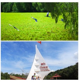 Tour Đồng Bằng Sông Cửu Long 2 (11 tỉnh)